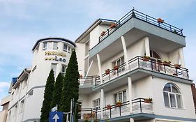 ペンシウネア　レオ